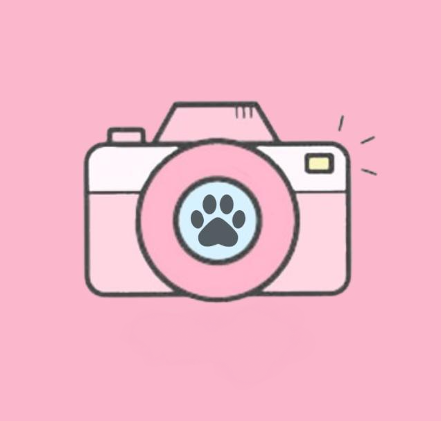 Pawly